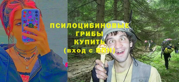 мдпв Рославль