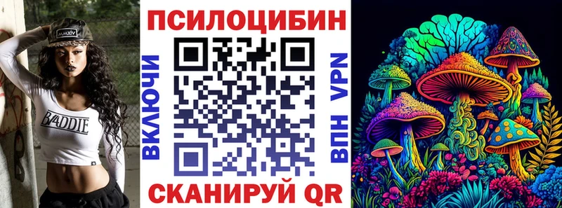 Псилоцибиновые грибы Psilocybe  Далматово 